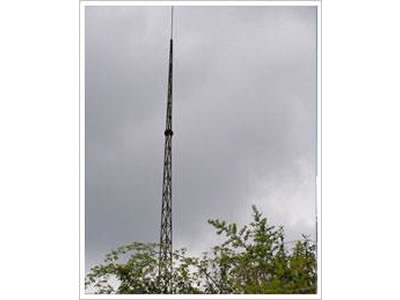 ������S�Ҷ���